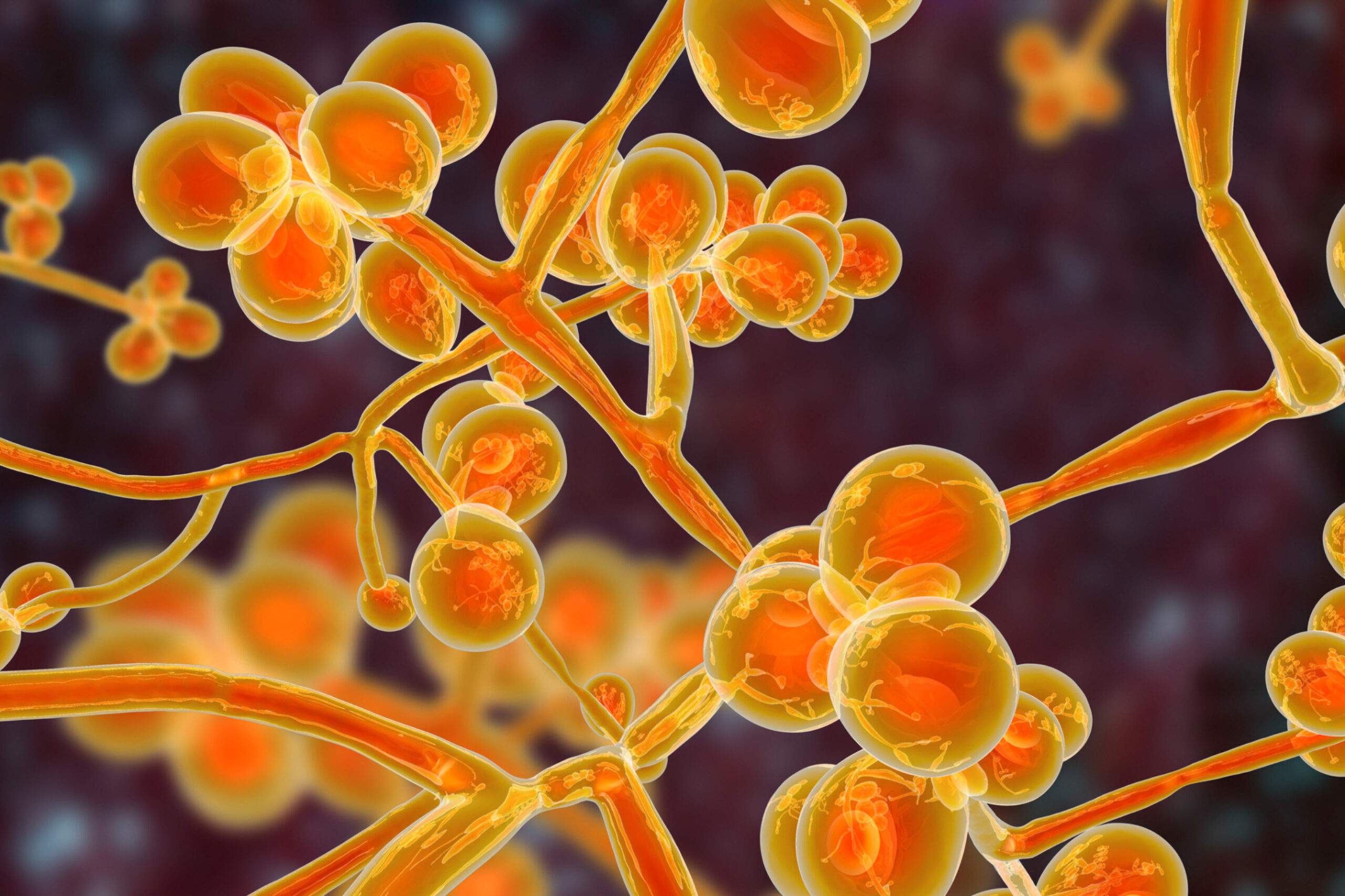 CDC Candida auris Spreading at ‘Alarming’ Rate Relias Media