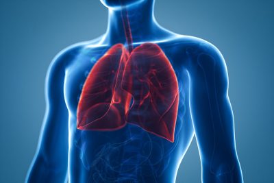 Human lungs Getty Images 1281723682
