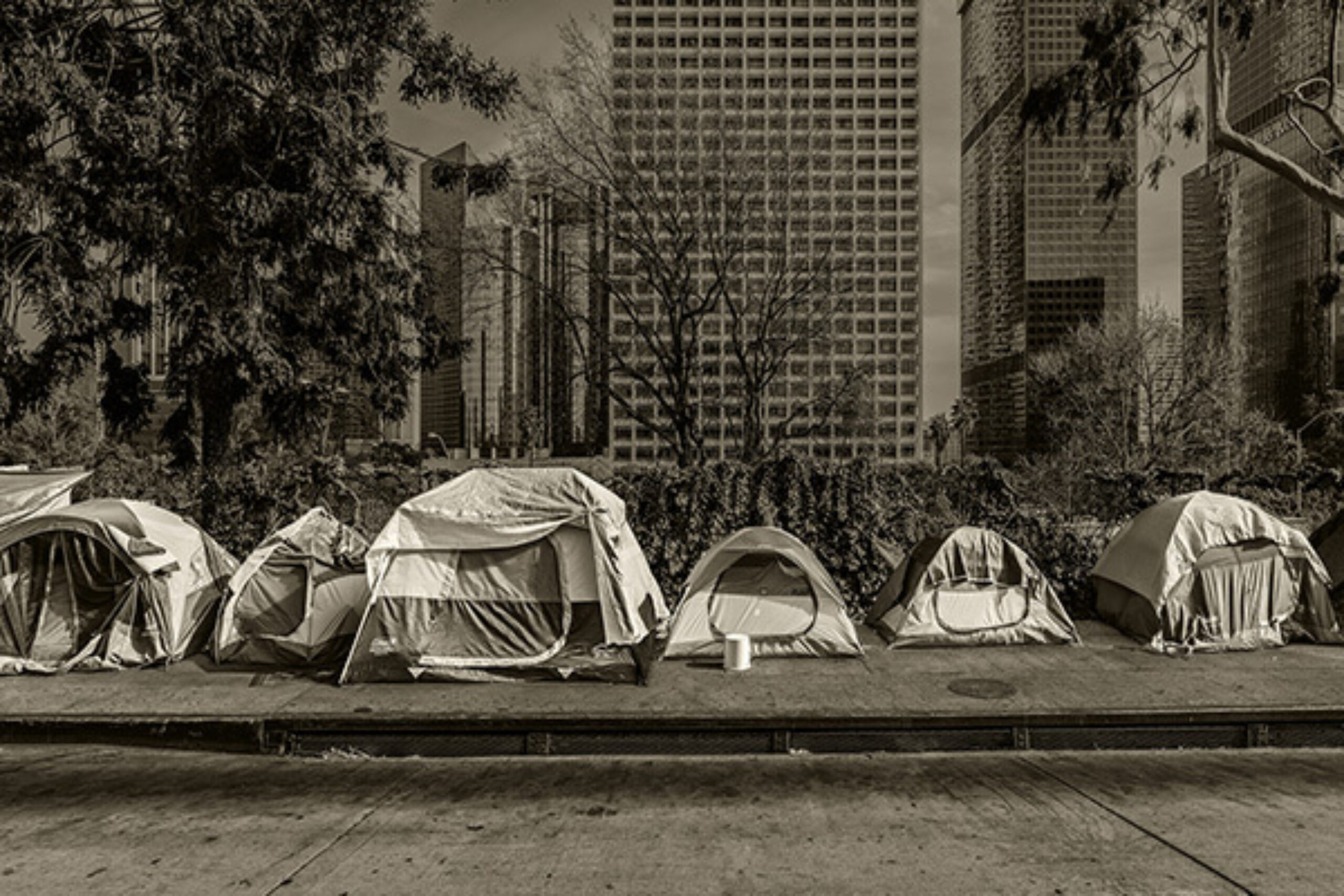 Federal Council Aims to Cut U.S. Homeless Rate by 25… Relias Media