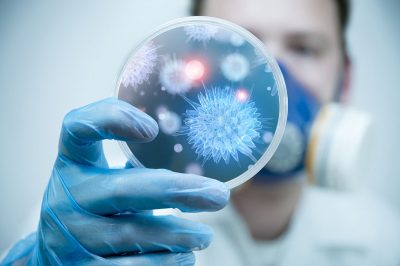 Organisms in petri dish Getty Images 151617200