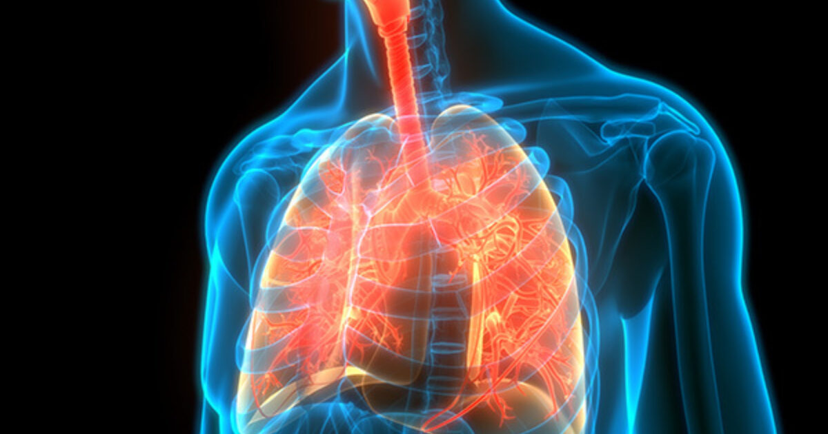 Persistent Asthma Patients Show More Plaque Buildup,… Relias Media