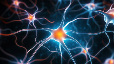 Nerve centers Getty Images 2125985440