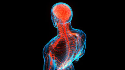 Nervous system Getty Images 1283969739