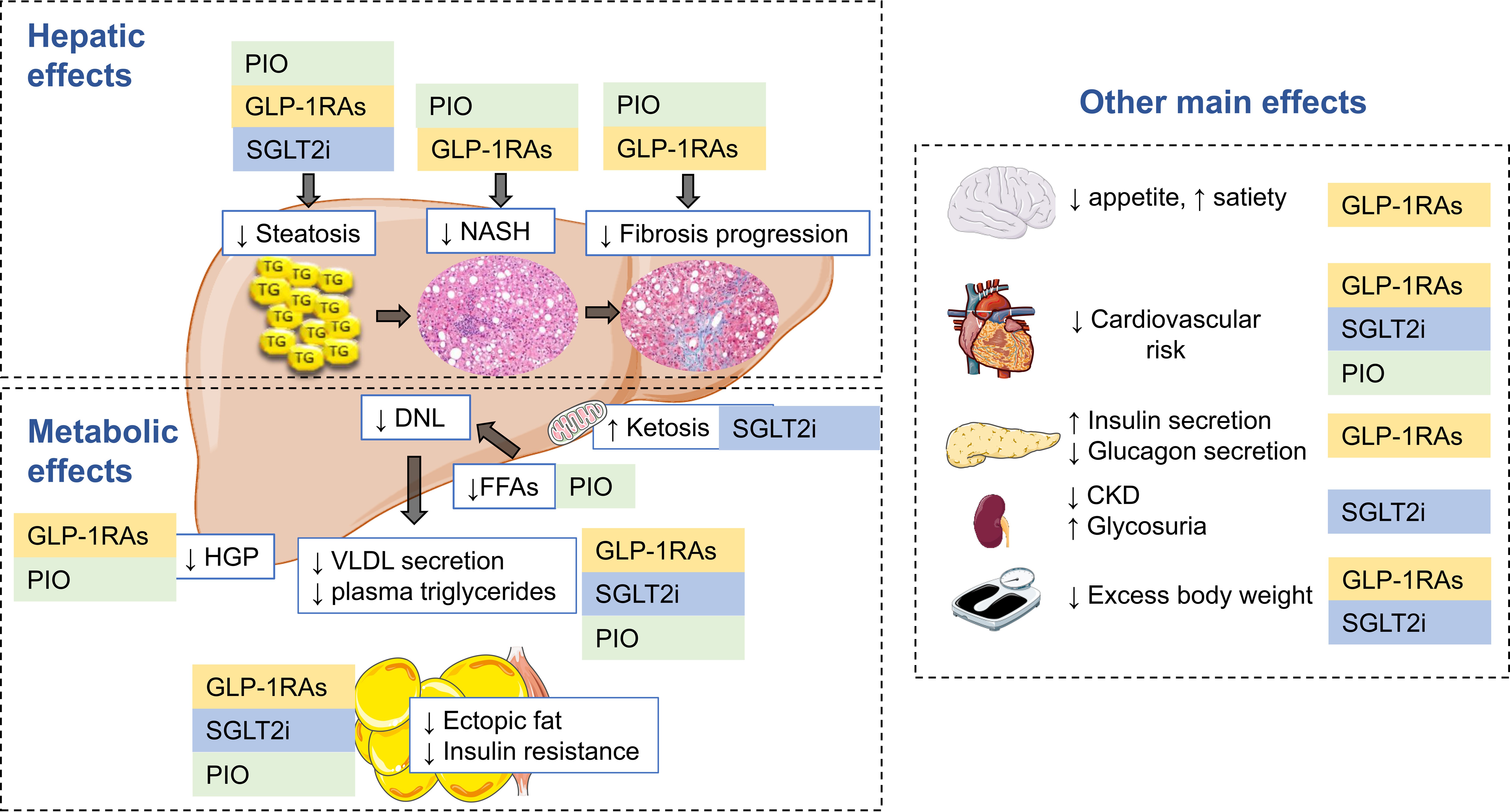 PCR 090124 Figure 3