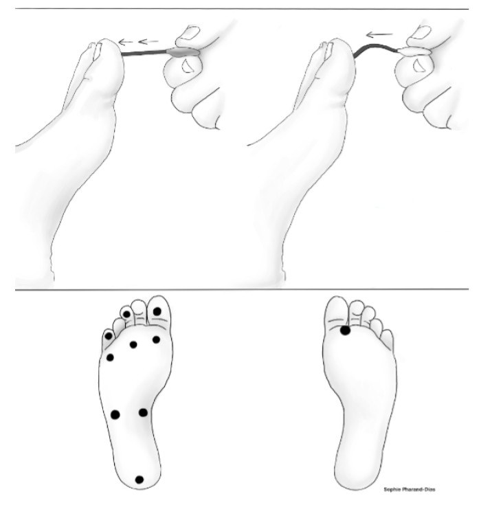 PCR 040125 Figure 3
